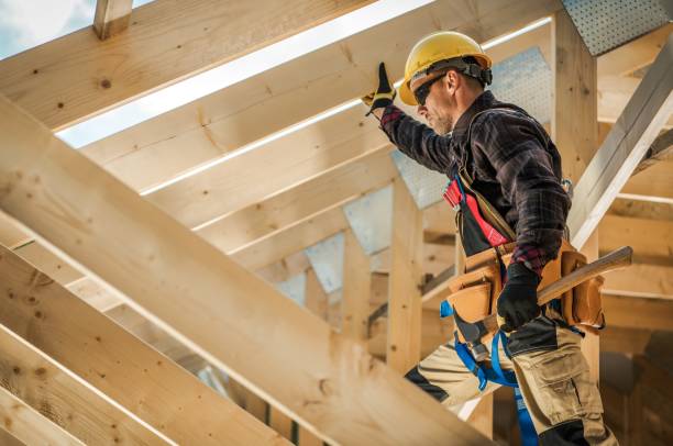 Best Roof Leak Repair  in Warren, IL