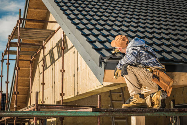 Best Flat Roof Repair Services  in Warren, IL