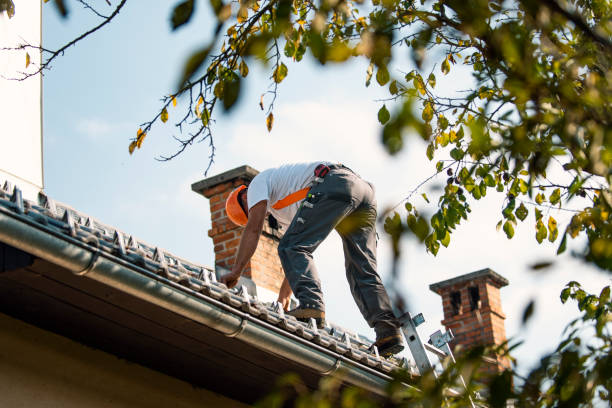 Best Gutter Installation and Roofing  in Warren, IL