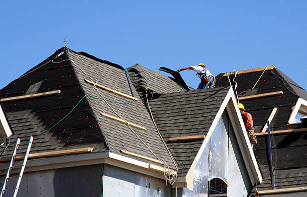 Best New Roof Installation  in Warren, IL
