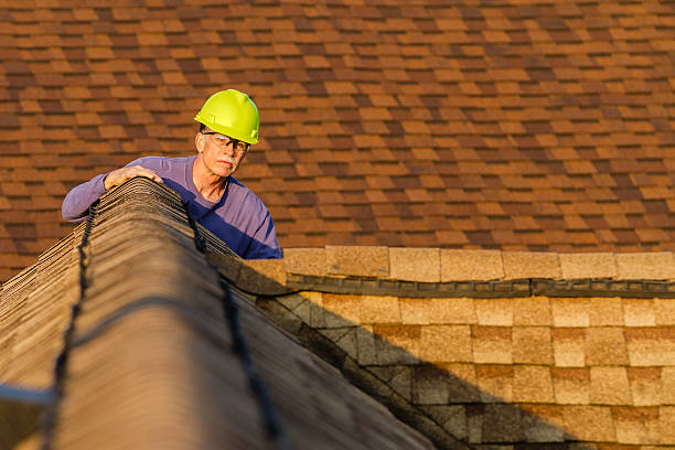 Best Gutter Installation and Roofing  in Warren, IL