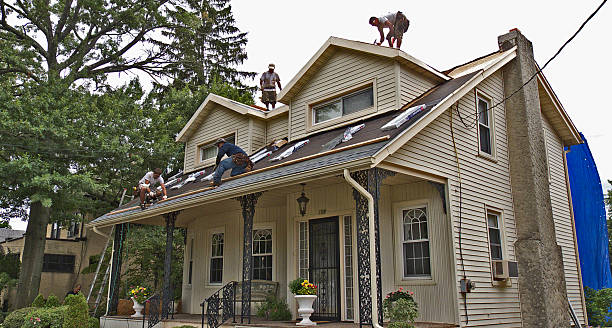 Best Commercial Roofing Services  in Warren, IL