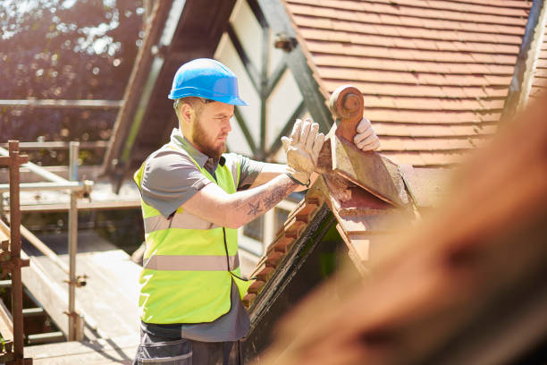 Gutter Installation and Roofing in Warren, IL