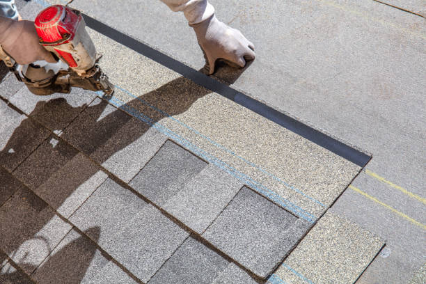 Best Residential Roof Replacement  in Warren, IL